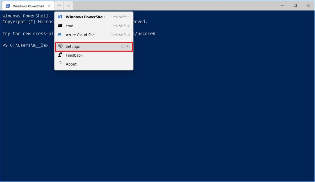 Opción de configuración del terminal de Windows