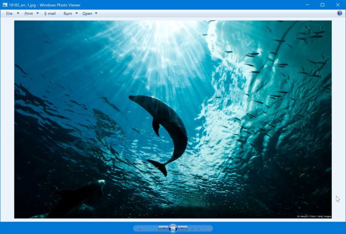 habilitar Windows Photo Viewer en Windows 10 pic1