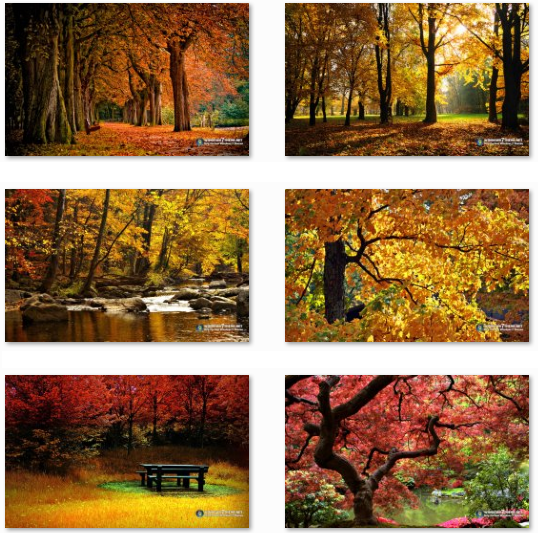 Fondos de pantalla de otoño - tema de Windows 7